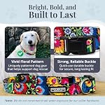 Lucky Love Dog - Adjustable Dog Collar with Easy Click Buckle for Medium, Durable, & Comfortable for Male & Female Dogs, Pet Collar for Puppies & Adult Dogs - Blackbird, Medium - Image 3