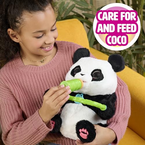 Just Play furReal Coco, der Panda, interaktives Plüschtier, über 60 Geräusche & Reaktionen, 27cm Kinderspielzeug ab 4 Jahren