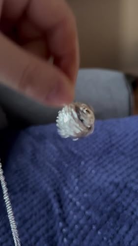 AEONSLOVE Zwangerschap Bola Ketting - Muziek Chime Ball Hanger Voor Toekomstige Moeder