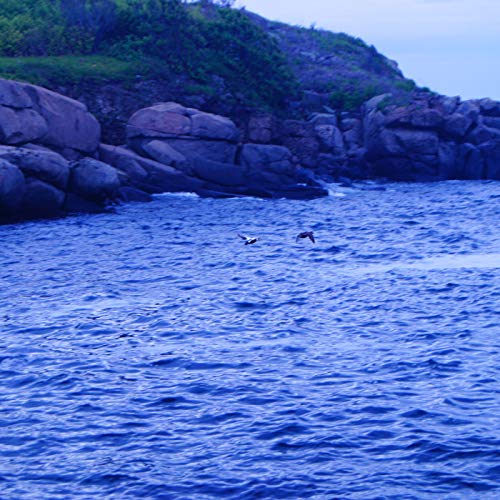 『Fanboy』のカバーアート