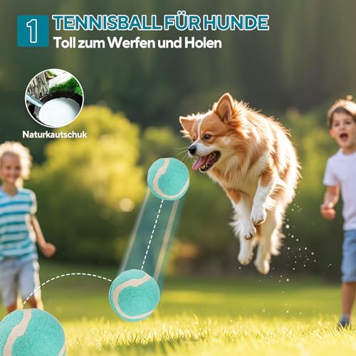 LIFLIX Hundespielzeug Kleine Hunde - 4 Stück Welpenspielzeug Kleine Welpen - Interaktives Kauspielzeug Hundeball und Quietschspielzeug- Eulen Form