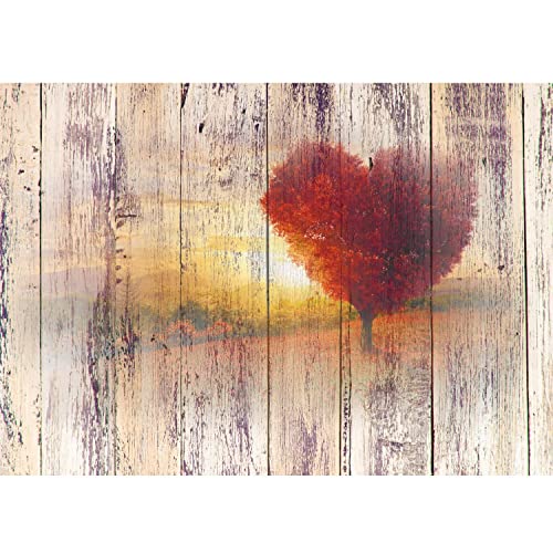 Runa Art Papel tapiz fotográfico mirada madera del otoño 352 x 250 cm Lana Fondo De Pantalla XXL Moderna Decoración De Pared Sala Cuarto Oficina Salón rojo marrón 9112011b