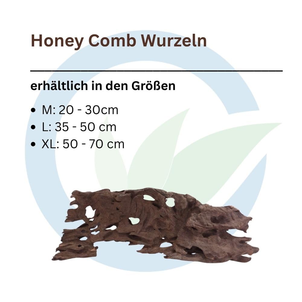 AquaOne Honey Comb Wurzel L Aquarium Wurzel Mangrove Holz Deko Aquascaping Dekoration Landschaft Moos Natur Echtholz