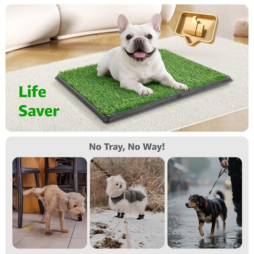 Image of Dog Grass Pad with Tray, 45 inchx29 inch Large Dog Litter Boxes with Artificial Grass, Reusable Washable Pee Pads for Dogs, Indoor Outdoor Pet Toilet Puppy Training Potty for Balcony