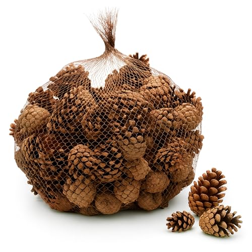 NaDeco Sylvestris-Zapfen ca.150 Stück 1kg, Weihnachten...