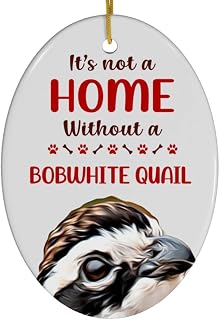 Bobwhite Quail Christmas Ornament 2025 - Its Not A Home Without You - White Oval Ceramic Holiday Tree Decoration Gifts for Quail Lovers