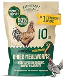 Hatortempt Bulk Dried Mealworms - 10 Lb Bag - Non-GMO Dried Mealworms for Chickens, Ducks & Wild Birds - High-Protein Chicken Feed & Bird Food