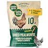 Hatortempt Dried Mealworms for Chickens – Organic Chicken Feed Supplement – Mealworms 10 lbs – 50% Protein, for Poultry and Wild Birds