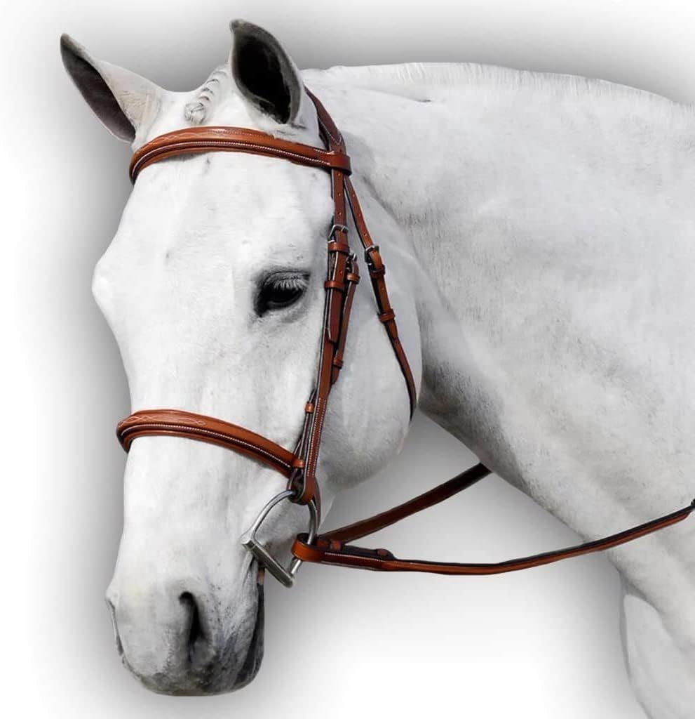 Flat Padded English Black Leather Horse Bridle | The Padded Bridle with Cut Back Headpiece | Fancy Stitched Bridle for Horses with Buckle Bits Ends - Extra Full Size