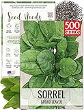 Seed Needs Large Leaf Sorrel Seeds for Planting - Heirloom Non-GMO & Untreated Medicinal or Culinary Herb - Grow a Home Grown Outdoor Garden (1 Pack)