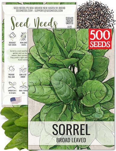 Seed Needs Large Leaf Sorrel Seeds for Planting - Heirloom Non-GMO & Untreated Medicinal or Culinary Herb - Grow a Home Grown Outdoor Garden (1 Pack)