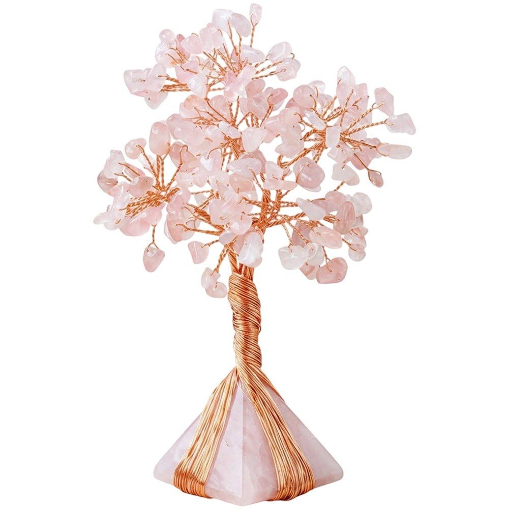 Arbre à argent contre le stress intérieur, la solution Feng Shui pour harmoniser votre maison