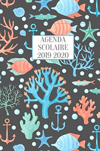 Télécharger AGENDA SCOLAIRE 2019 2020: Agenda Etudiant septembre 2019 à décembre 2020 I Agenda semainier 2019/ Gratuit