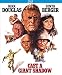 Cast a Giant Shadow [Blu-ray]