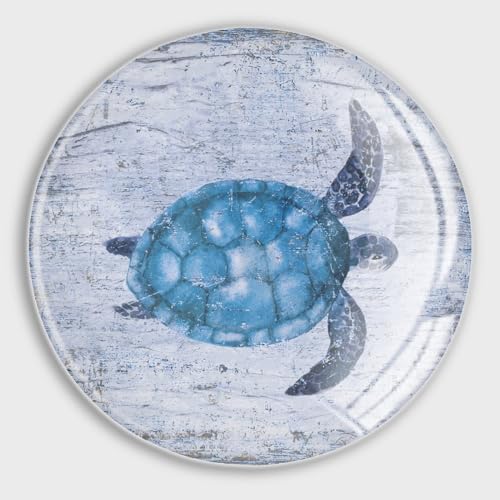 Aimants de réfrigérateur tortue pour fixer vos notes sans glisser