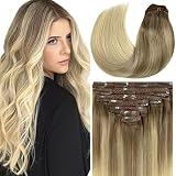 Loxxy Clip in Hair Extensions Remy Human Hair Lace Double Weft Natural Hair Extensions Ombre B#8/60