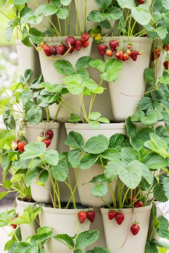 indoor vertical garden system Package product image