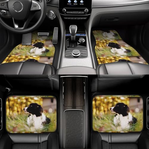 Alfombrillas Border Collie para proteger el coche tras el paseo 6
