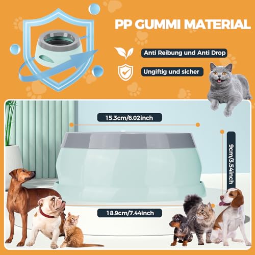 Wassernapf für Hunde Unterwegs 750ml, Qianyou Auslaufsicher Spritzschutz Fressnapf Hundenäpfe Katzenapf Haustier rutschfest Auto Reise Trinknapf Plastik Abnehmbar Tragbar Wasserschüssel Grün