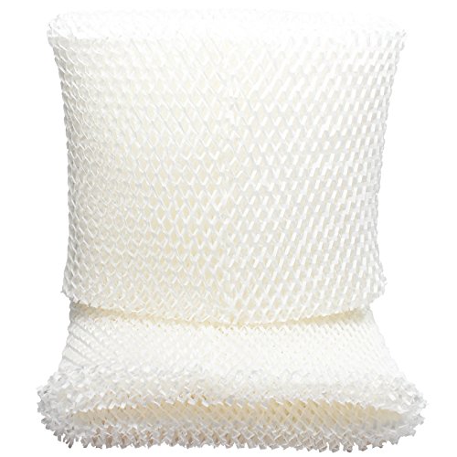 Upstart 2-Pack GE 106763 Filter