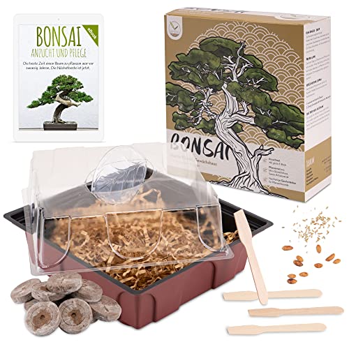 Bonsai Starter Kit Anzuchtset inkl. GRATIS eBook - Pflanzset aus Mini-Gewächshaus, Samen & Erde -...