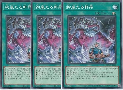 �������錬�V BPRO-JP065 �m�[�}���R���Z�b�g �o�[�X�g�E�v���g�R�� BURST PROTOCOL