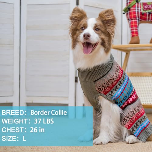 Image of Mihachi Dog Sweater - Winter Coat Apparel Clothes with Colorful Stripes for Cold Weather