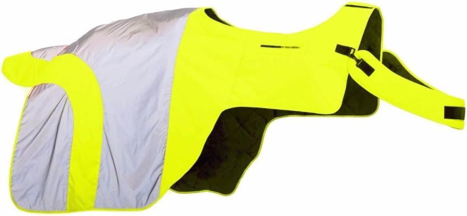 EquisafetyMercury Reflective Exercise Sheet Full Size Yellow