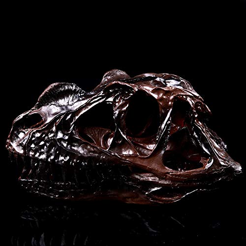 Fósil de cráneo de dinosaurio coleccionable y esqueleto decorativo 5