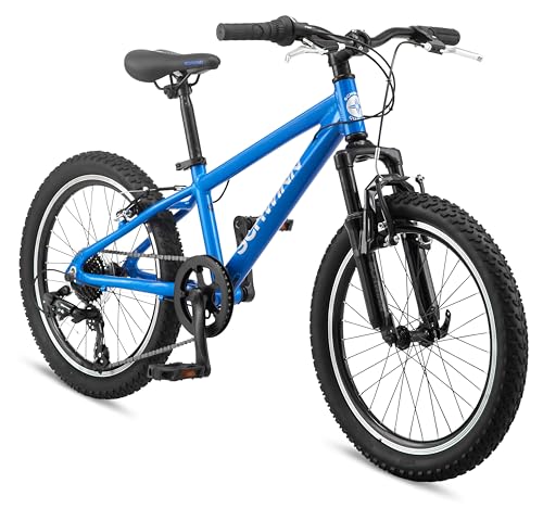 Schwinn High Timber AL Youth Bike