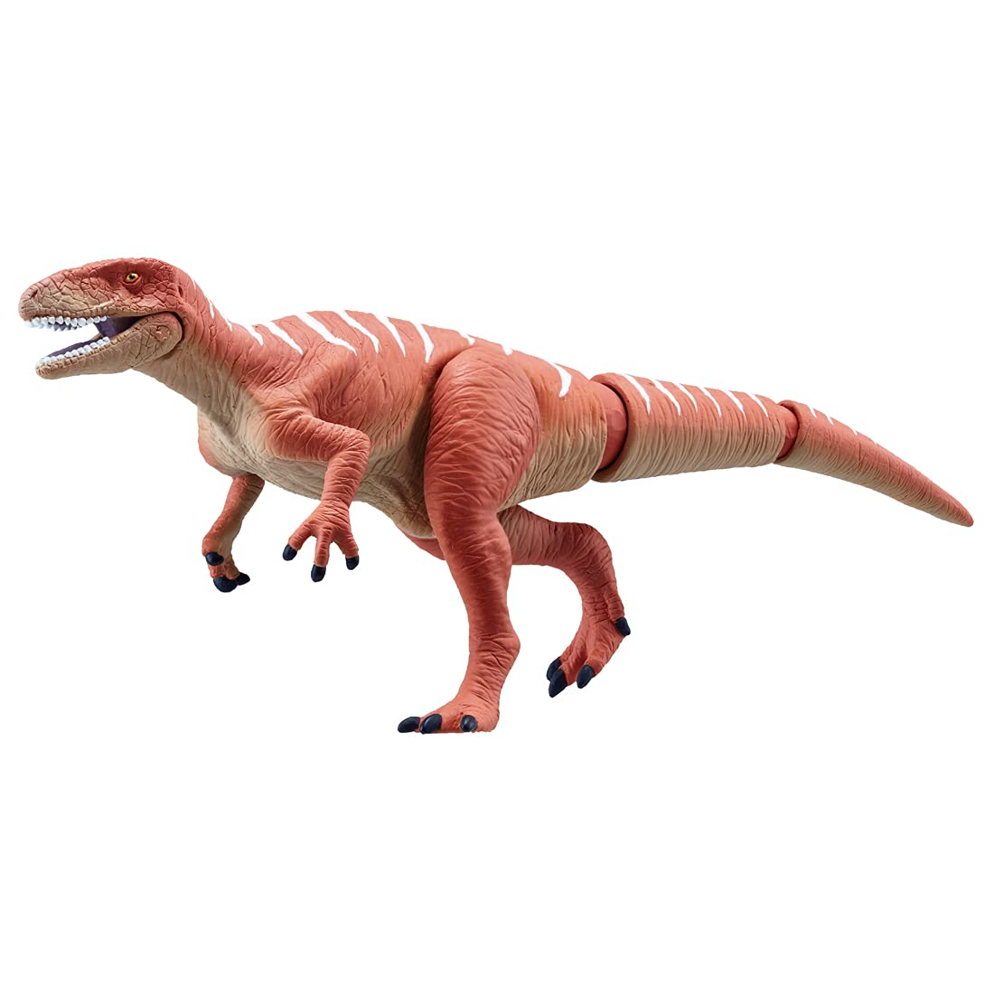 Amazon.co.jp: タカラトミー 『 アニア AL-19 フクイラプトル