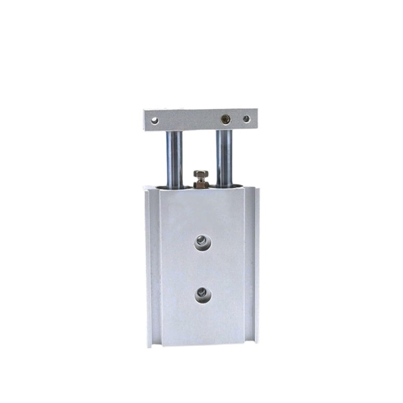 Cylindre pneumatique double tige CXSM actionneur double axe 100mm