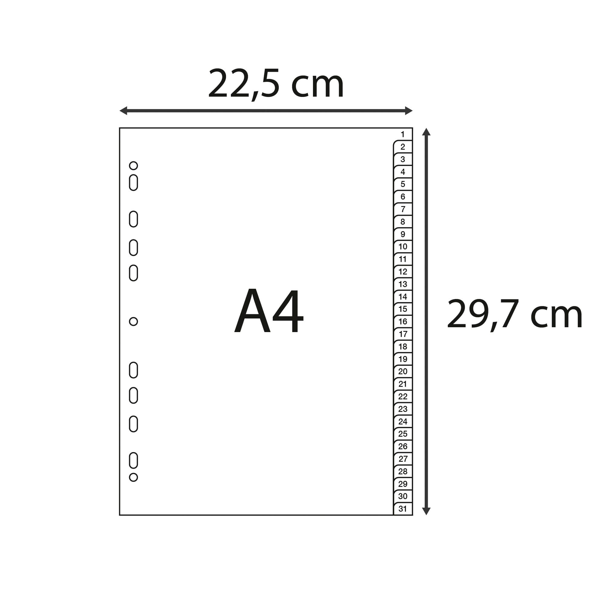 Exacompta 1931E Kunststoff-Register 1-31 für DIN A4 aus recyceltem Kunststoff 31-teilig volle Höhe 21 x 29,7 cm grau mit bedruckten Taben Universallochung Blauer Engel Trennblätter Trennstreifen
