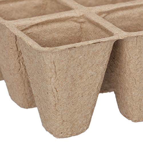 Relaxdays Anzuchttöpfe im Set, biologisch abbaubar, für Pflanzen, eckig, 204 Stück Pflanztöpfe, Zellulose, H: 5cm, beige