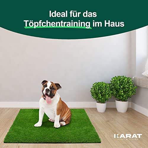KARAT Premium Kunstrasen für Hunde - Höhe: 40 mm - Trainingsunterlage Hundetoilette Welpentoilette - wiederverwendbarer Gras Ersatz für Balkon, Terrasse, Garten (50 x 60 cm)