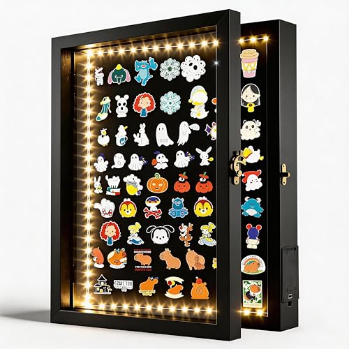 Lighted Pin Display Case 12x16 Black Shadow Box with Opening Door
