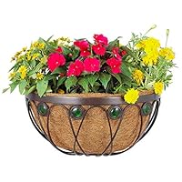 Algopix Similar Product 12 - Arcadia Emerald Series Wall Manger