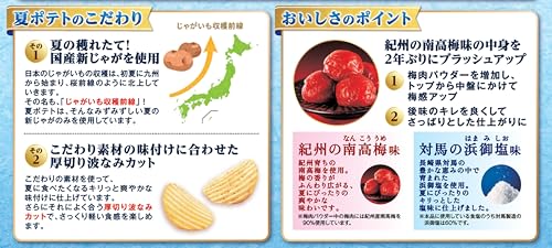 カルビー 夏ポテト対馬の浜御塩味 60g×12袋
