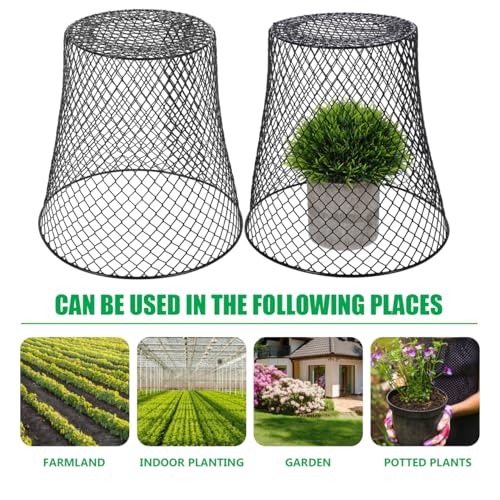 Protections en maille pour plantes de maison et projets paysagers - 5