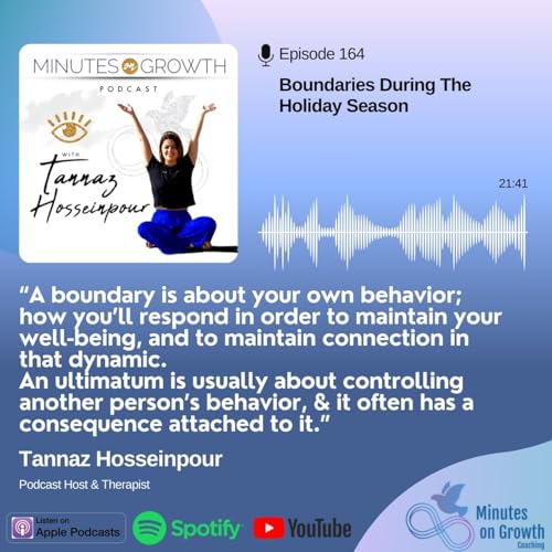 『164: Boundaries During The Holiday Season』のカバーアート