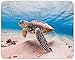 Produktbild N/A Swimming Turtle Mouse Mat Pad - Tortoise Diving Scuba Sea Gift PC Computer #8503