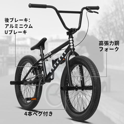 AVASTA BacchusフリースタイルBMX 20インチ