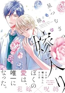 星つむぎの嫁入り【電子限定特典マンガ付き】 (アメイロ)