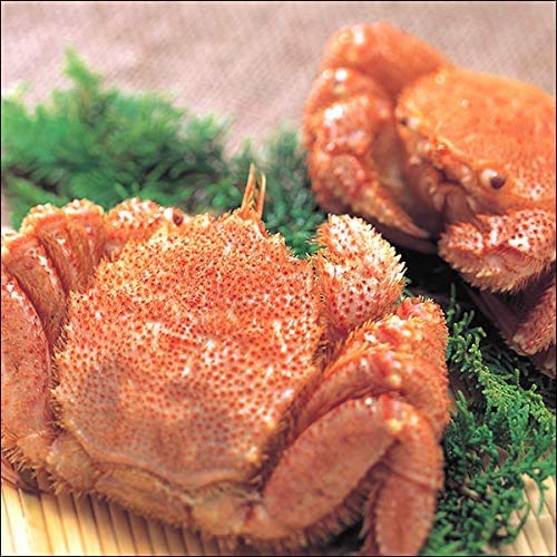 北のデリシャス カニ 北海道産 毛ガニ (姿/ボイル/冷凍品) 新物 旬 海鮮 水産 かに 蟹 けがに 毛がに 毛ガニ 毛蟹 かにみそ カニみそ 北海道 ギフト 贈り物 贈答 お祝い お礼 内祝い プレゼント グルメ お取り寄せ