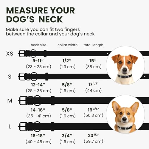 BRONZEDOG Hundehalsband aus gerolltem Leder für kleine, mittelgroße und große Hunde mit QR-ID-Tag (Schwarz glänzend, S: 30-36 cm)