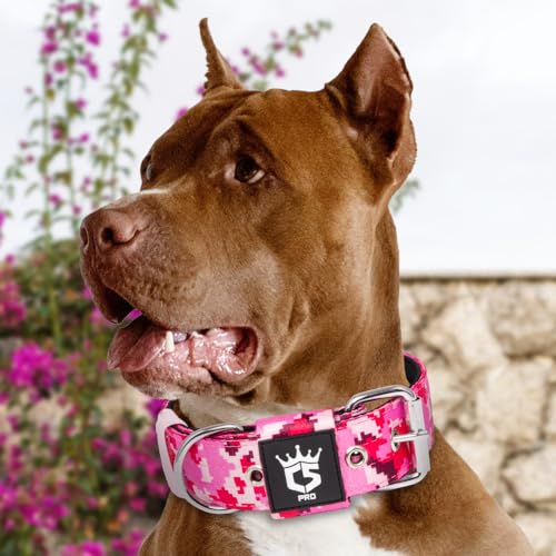 TSPRO Taktisches Hundehalsband, Robustes Halsband für Hunde mit Metallschnallenverschluss, 3,8 cm Breit, Verstellbar und Dick für Mittel bis Großgroße Hunde (Camo Rosa L)