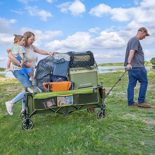 Electric Cargo Wagon Utility Cart