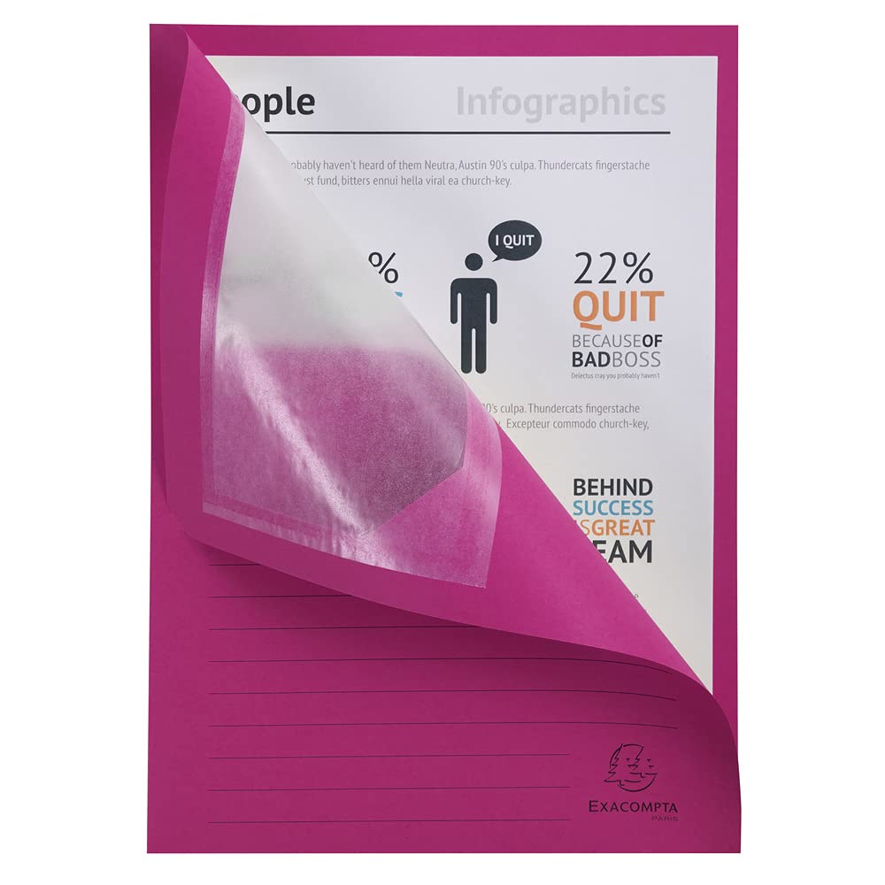 Exacompta - Réf. 50100E - Paquet de 100 chemises à fenêtre sans plastique Forever® 120 g/m² - couleurs vives - 100% recyclées et certifiées Ange Bleu - dimensions 22x31cm pour A4-10 couleurs assorties