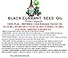 Botanical Beauty BLACK CURRANT SEED OIL 100% Pure Natural Undiluted Refined Cold Pressed Carrier oil. 0.5 Fl.oz. - 15ml. For Skin, Hair, Lip, Nail Care. Rich in gamma-linolenic acid, Omega 3, 6, 9