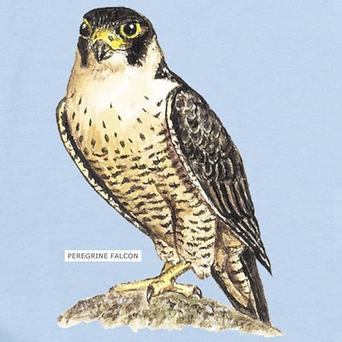 CafePress Peregrine Falcon Bird Infant Bodysuit Cute Infant Bodysuit Baby Romper2